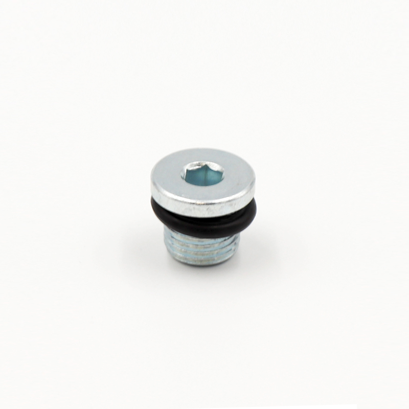 Steam Plug 1/4'' - 2mm